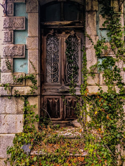 An Abandoned House with Green Leaves