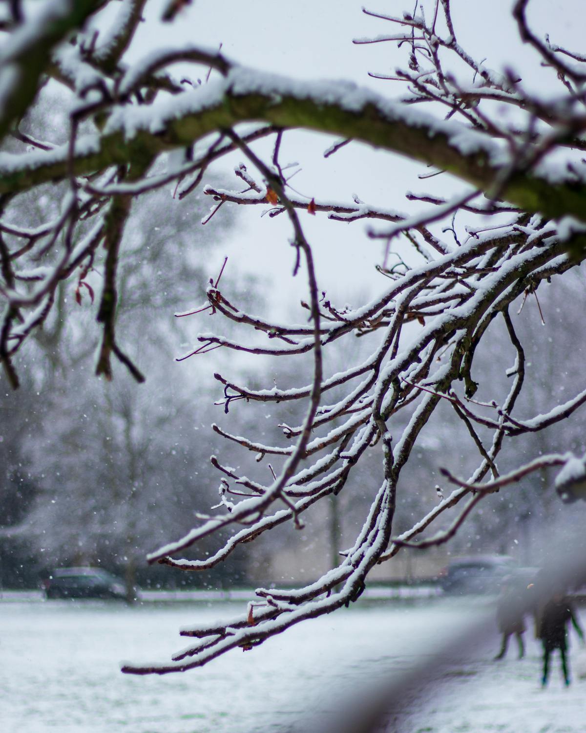 Living room with a colorful maximalist gallery wall featuring mixed art, mirrors, and plants