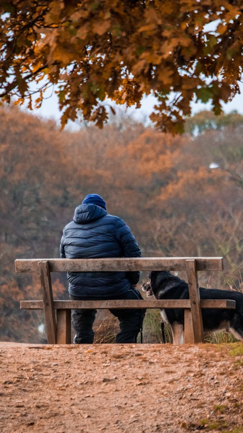 Person in Blue Jacket Sitting on Brown Wooden Bench