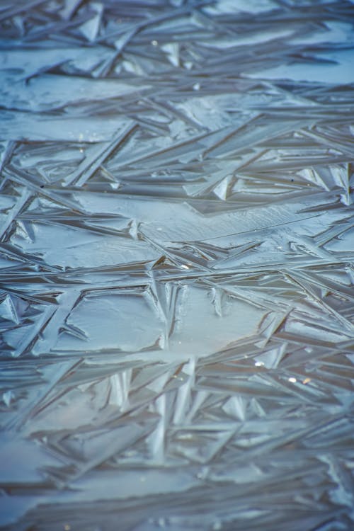 Free Frozen surface with small sharp pieces of ice and frost on cold day in nature in winder time in forest Stock Photo
