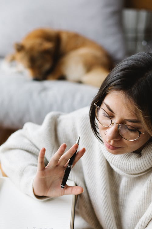 Gratis arkivbilde med akademisk, akita inu, alvorlig