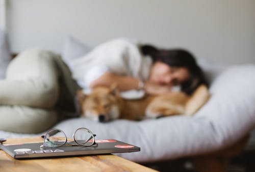 Free Planner and eyeglasses placed on table near anonymous woman and dog sleeping on sofa Stock Photo