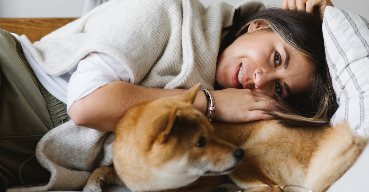 Happy young woman caressing purebred dog lying on sofa