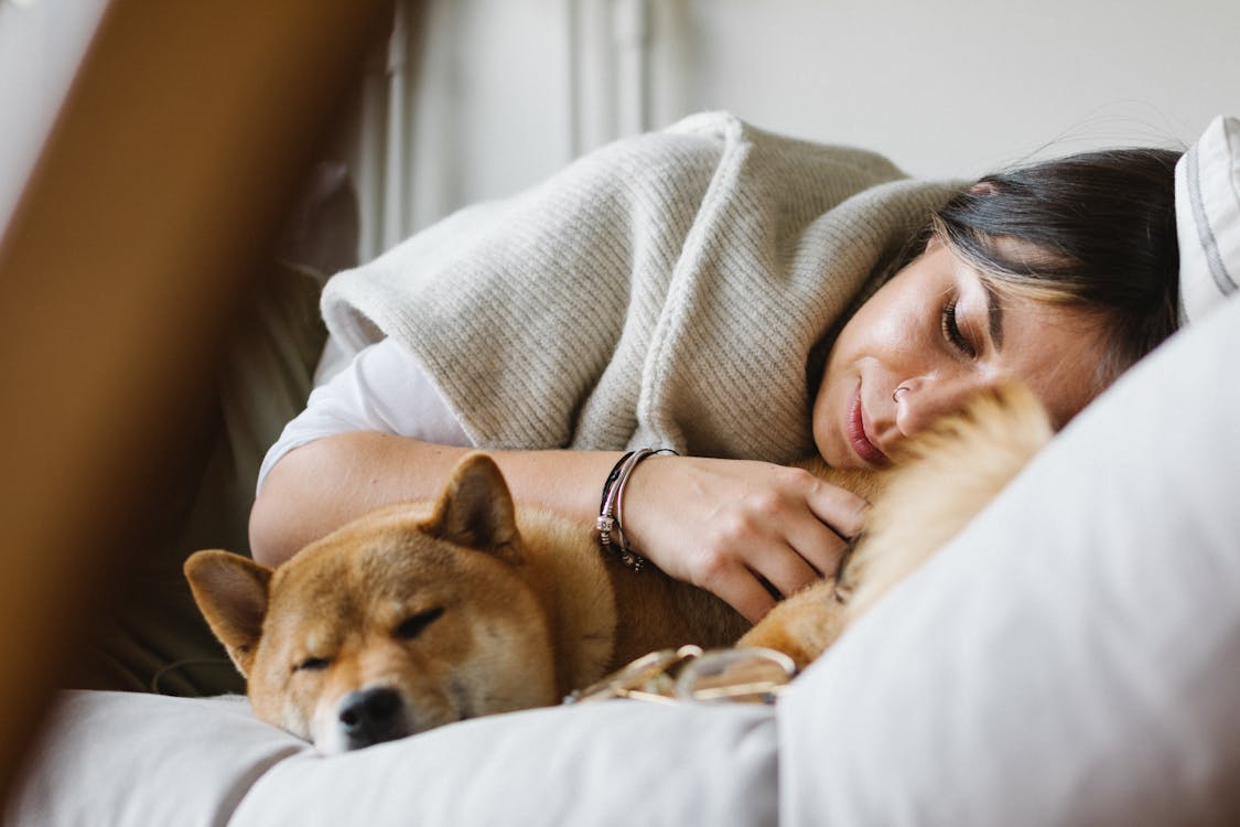 Young woman with purebred dog sleeping together on soft couch