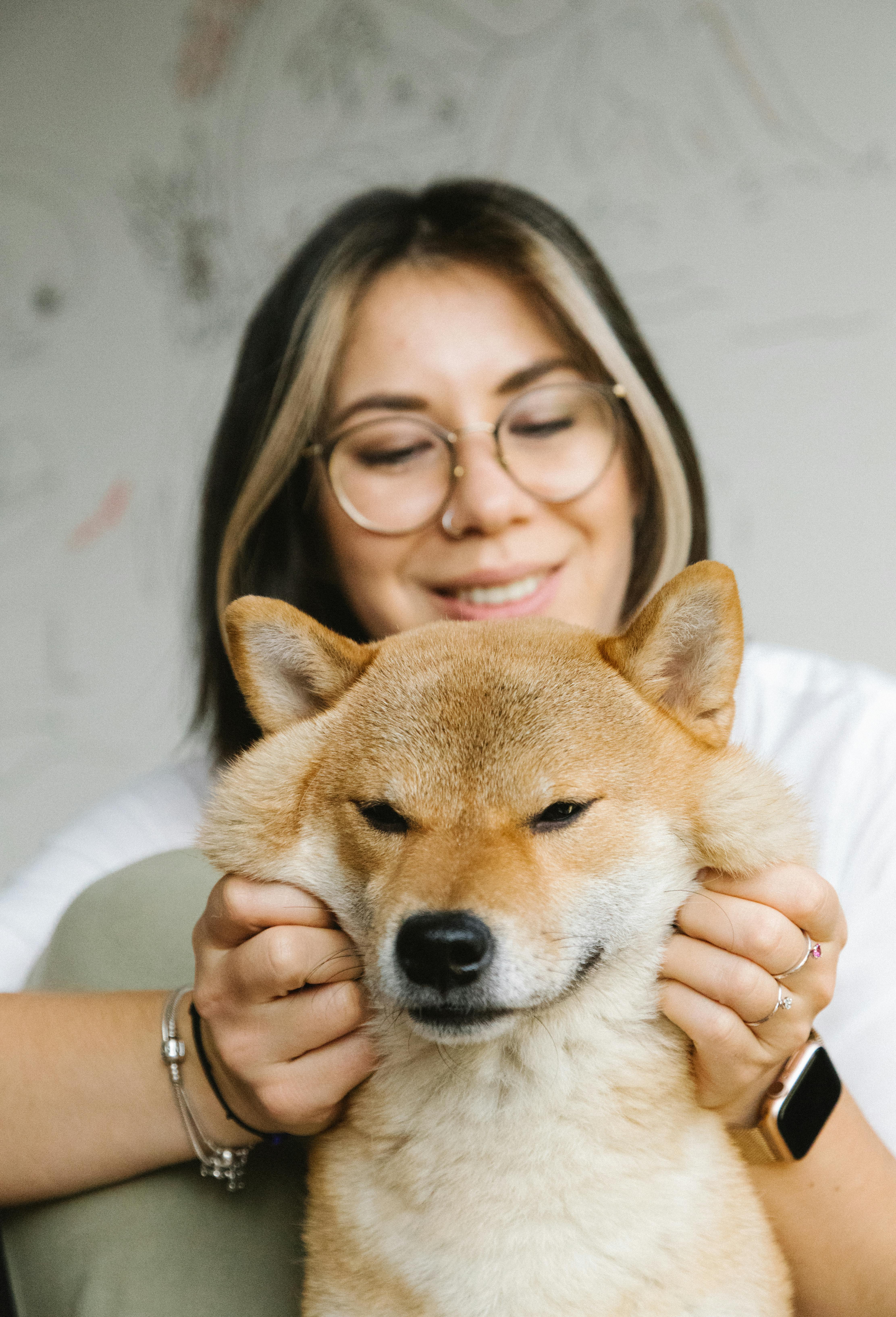 Smiling young lady stroking cute Akita Inu dog