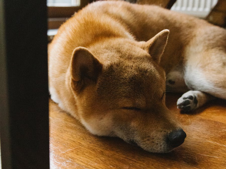 Can lack of sleep cause high blood pressure?