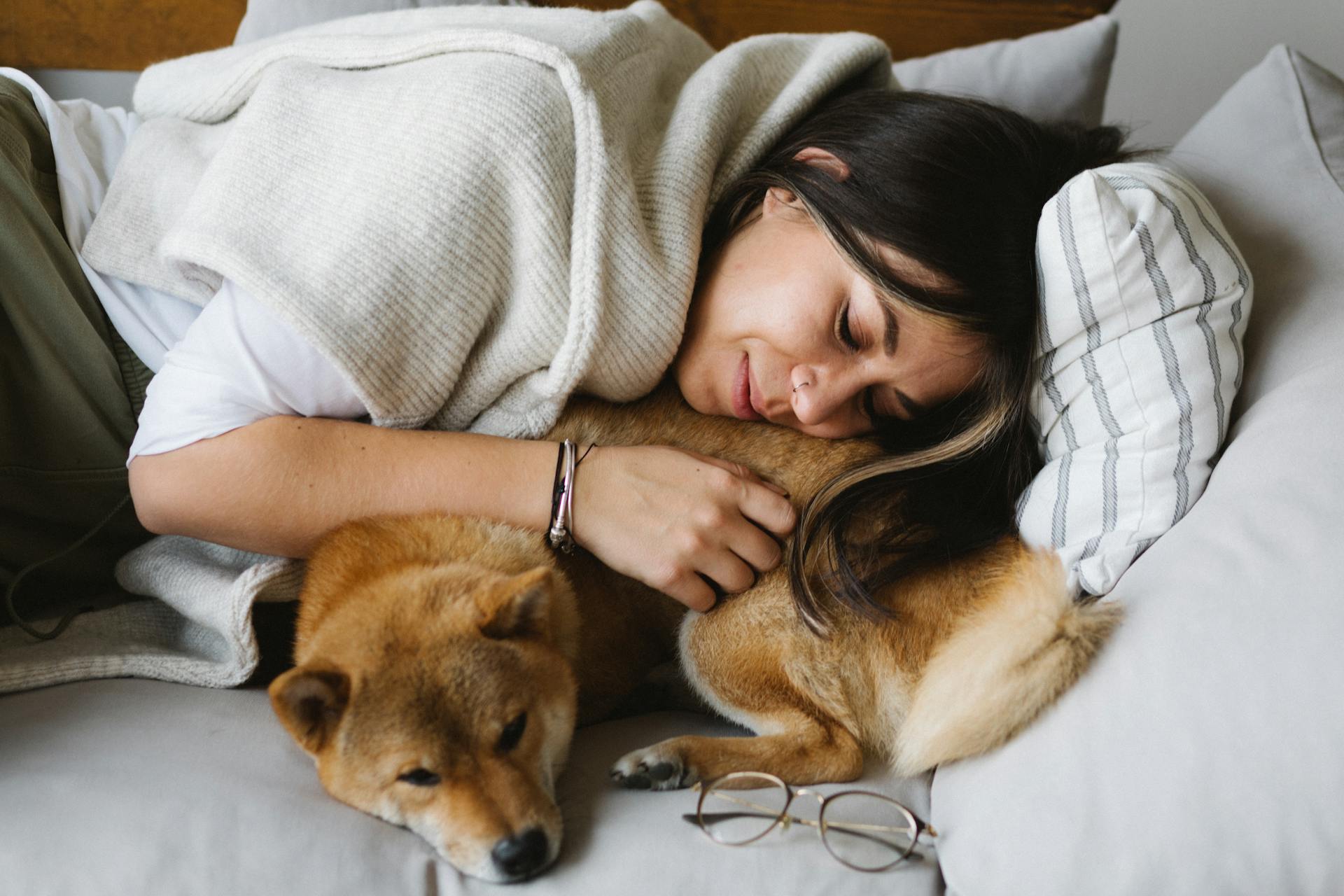 Glad kvinna och Shiba Inu-hund som vilar tillsammans på soffan