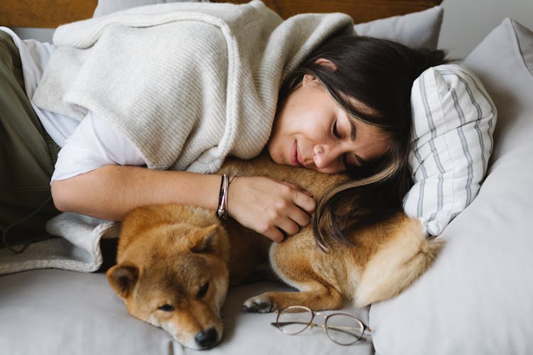 Glad Woman And Shiba Inu Dog Resting Together On Couch