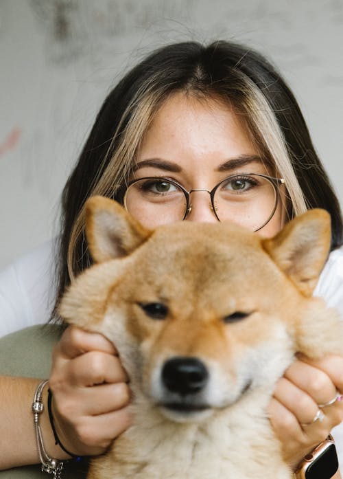 Free Positive young brunette in eyeglasses touching cute fluffy Shiba Inu dog muzzle while looking at camera together Stock Photo