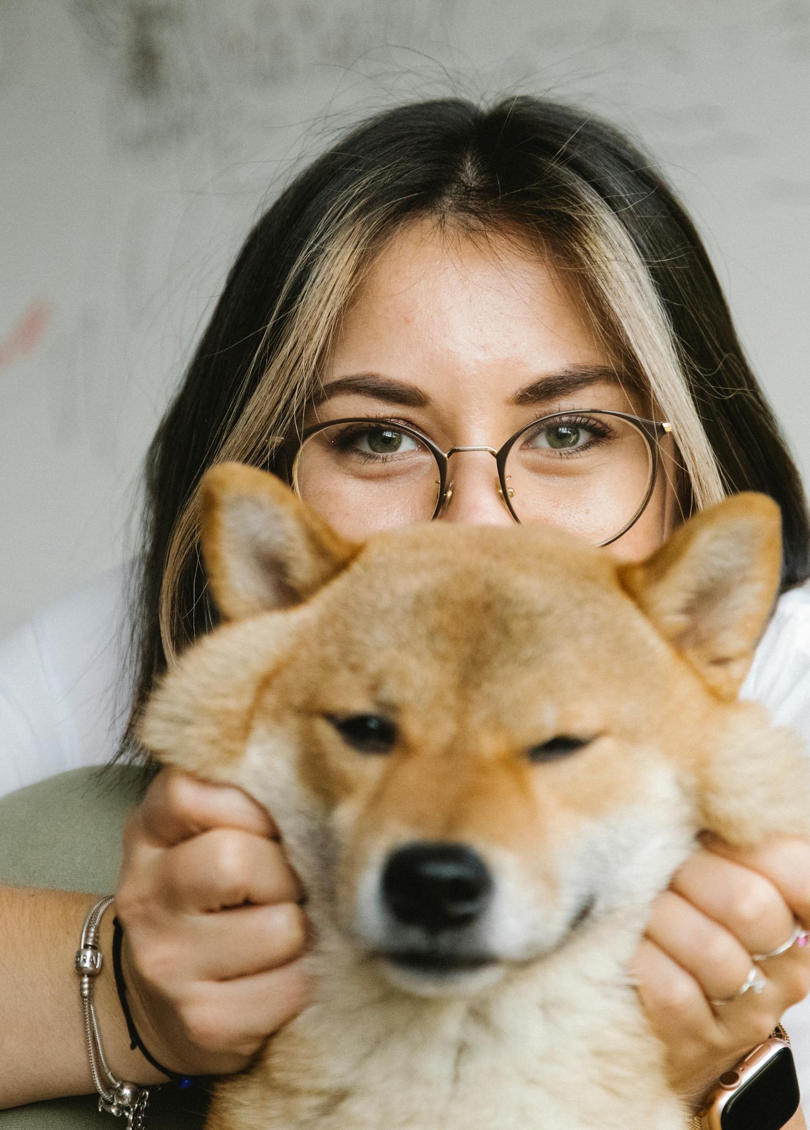 Positive young brunette in eyeglasses touching cute fluffy Shiba Inu dog muzzle while looking at camera together