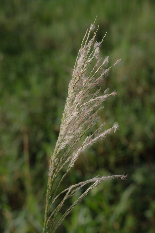 Čisté schodiště v bytovém domě