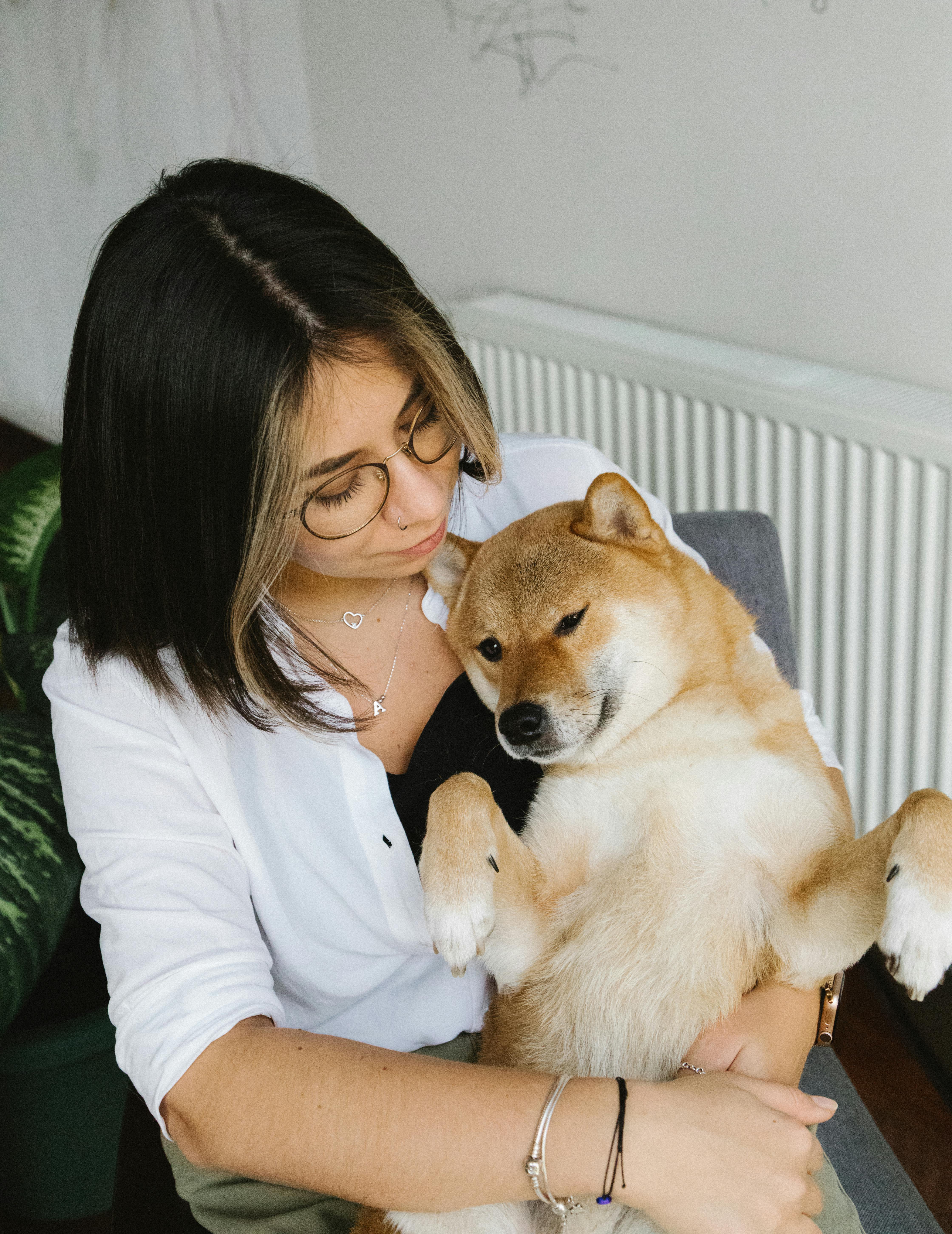 positive woman hugging cute shiba inu dog on armchair