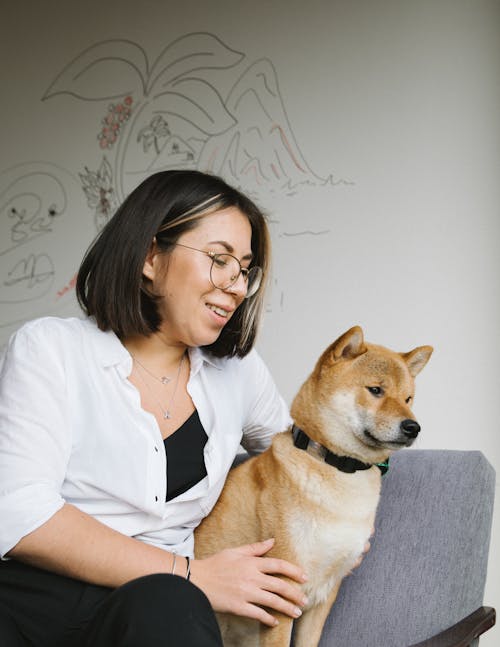 Happy woman hugging cute Shiba Inu dog on chair