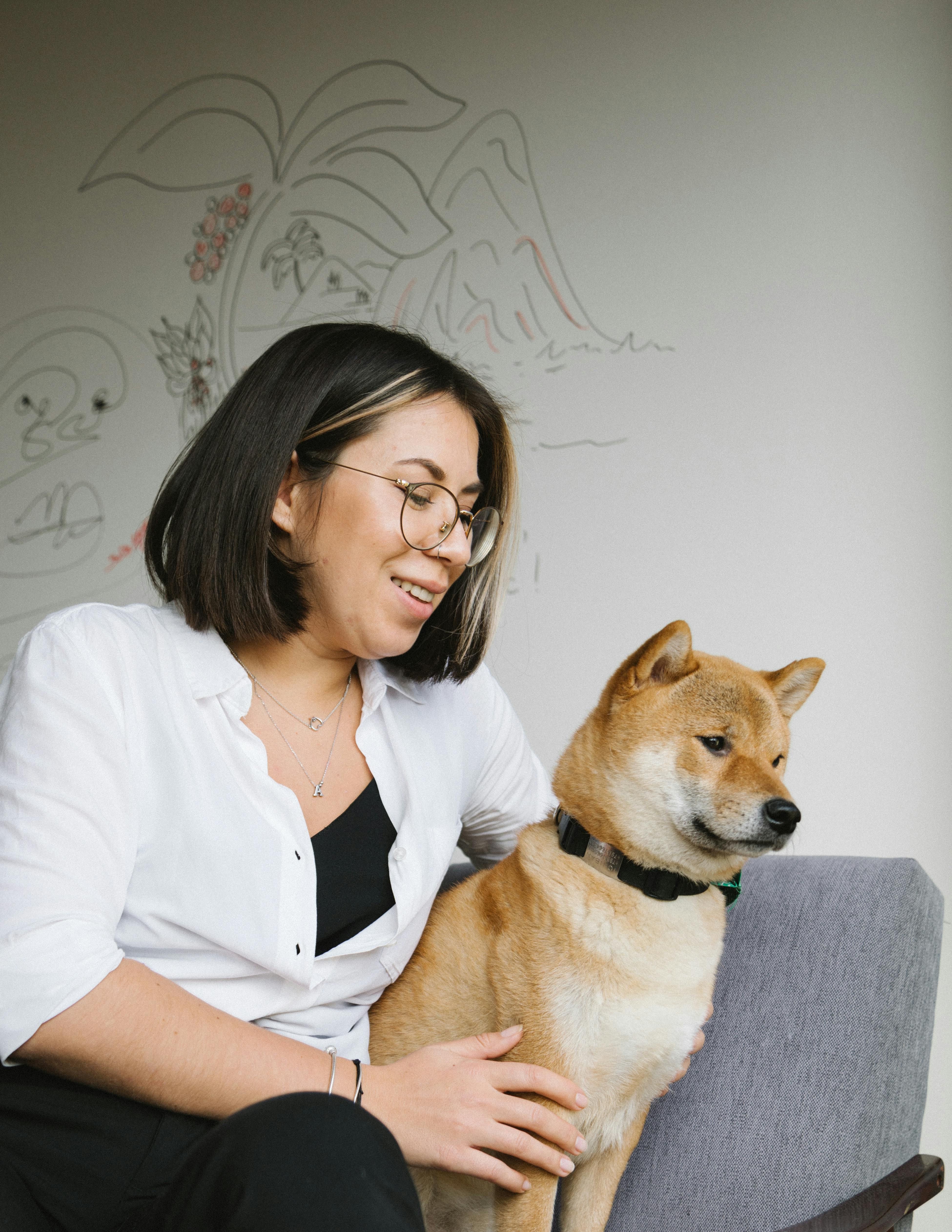 Happy Woman Hugging Cute Shiba Inu Dog On Chair Free Stock Photo Happy Woman Hugging Cute Shiba Inu Dog On Chair Free Stock Photo