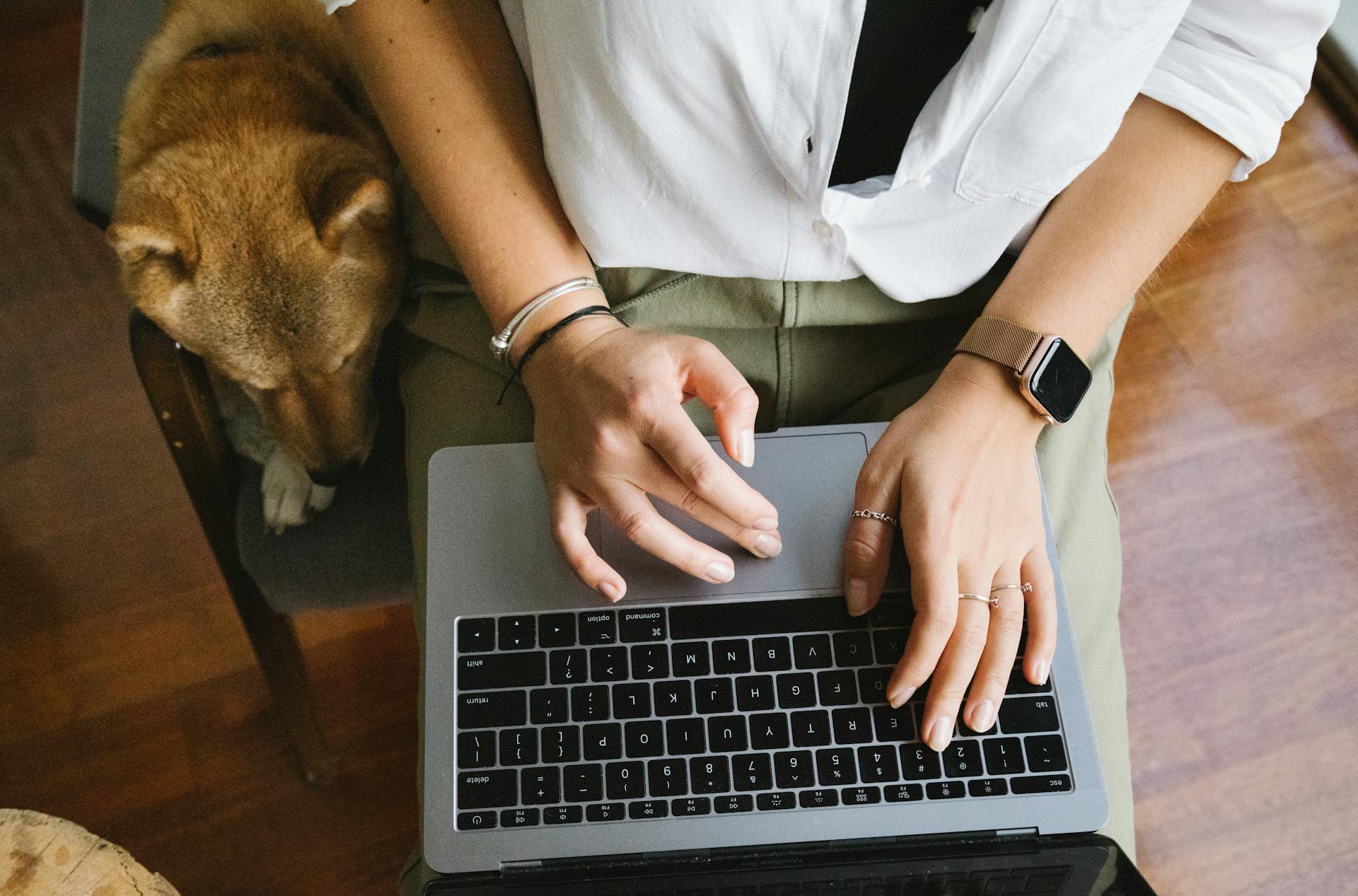 Top view crop anonymous female browsing netbook while sitting on cozy chair with adorable Shiba Inu dog