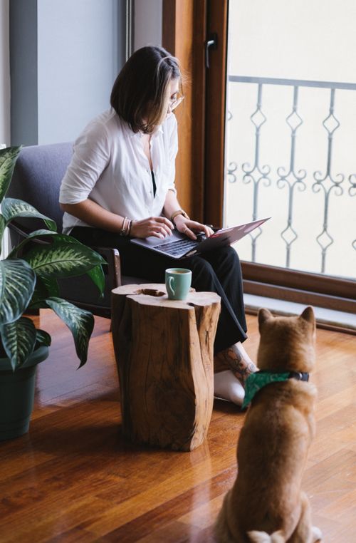 Free Focused young female wearing casual outfit and eyeglasses browsing netbook near cute Shiba Inu dog sitting on floor in stylish light living room Stock Photo