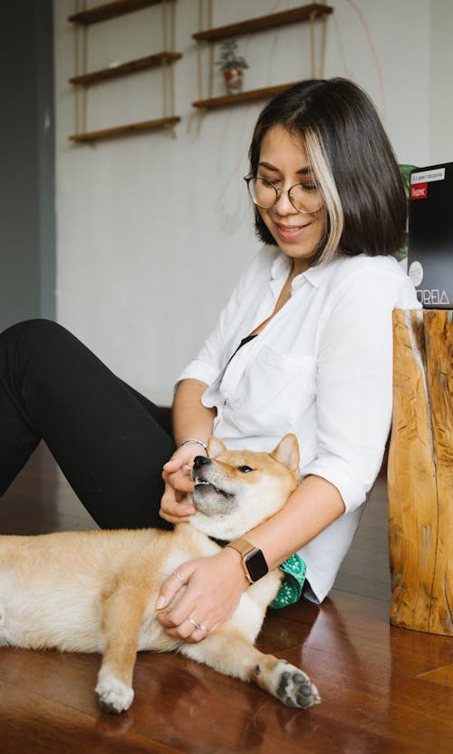 Free Cheerful young female wearing casual outfit stroking adorable Shiba Inu dog while sitting together on floor in living room Stock Photo