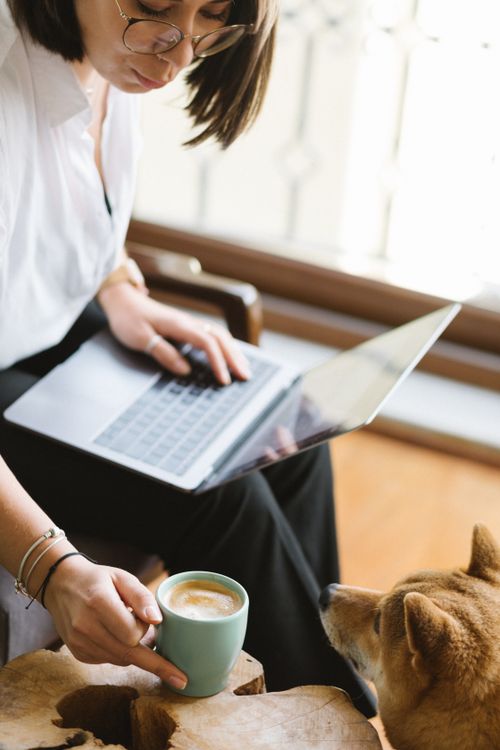 Free Crop focused female in white shirt browsing netbook on laps and enjoying hot fresh coffee while sitting on armchair near cute dog Stock Photo