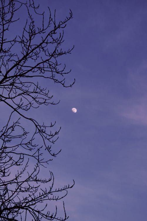 Moon on Sky