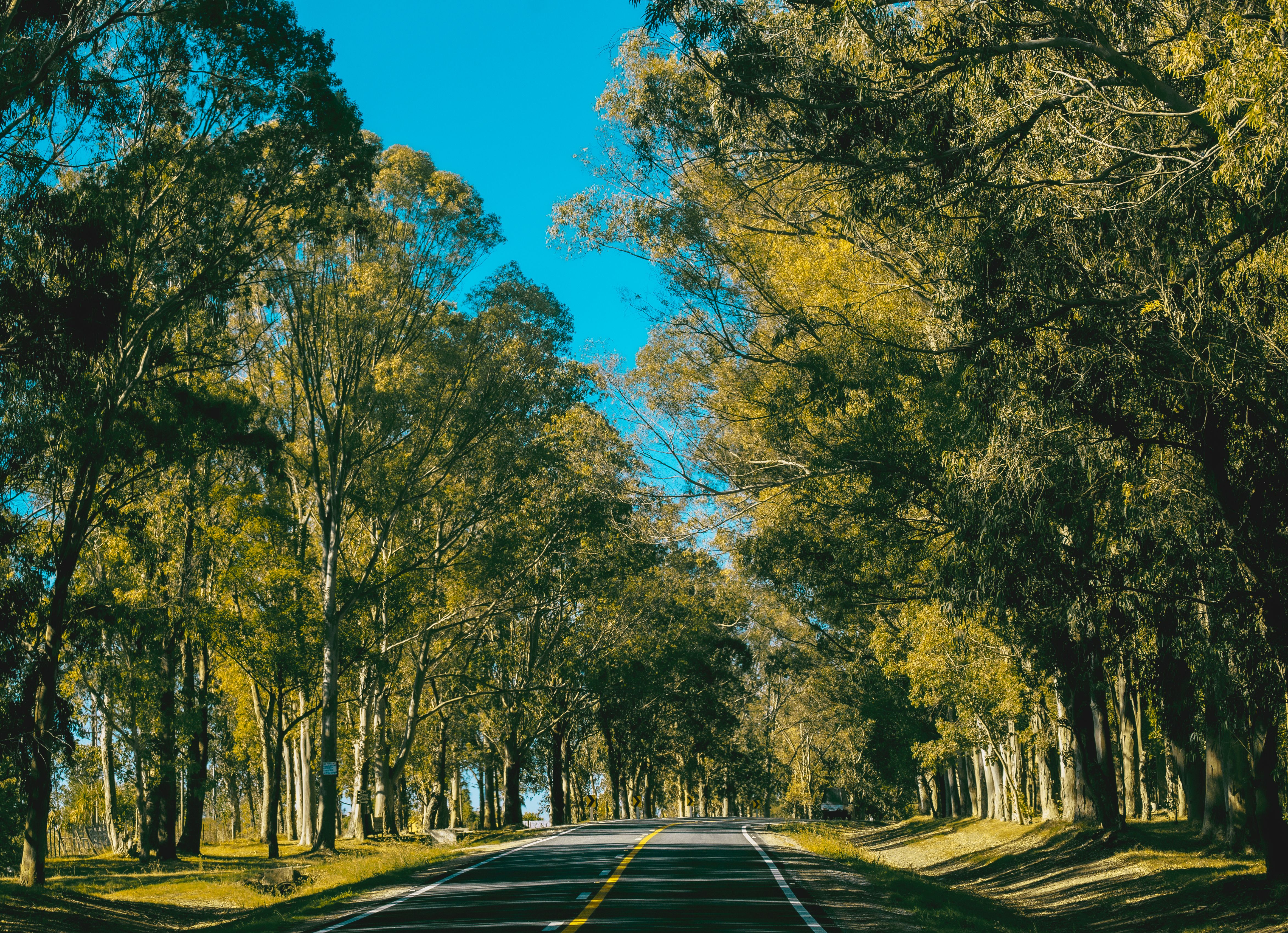 ENReGE homologa reglamentación ambiental