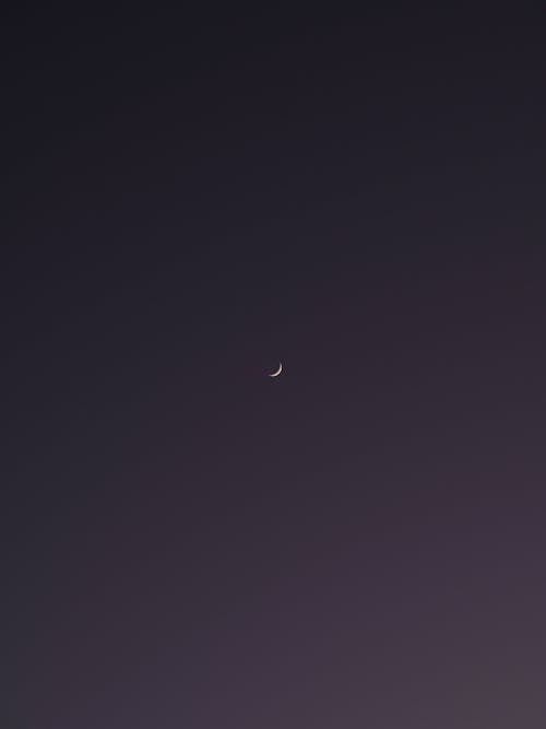 The Crescent Moon in the Dark Sky