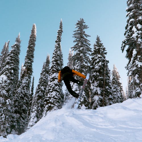 Kostnadsfria Kostnadsfri bild av åka snowboard, kall, kvadratisk format Stock foto