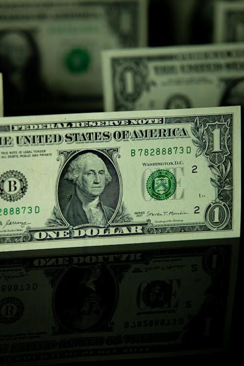 Kostnadsfri bild av dollar, näbb, närbild