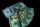 dollar bills