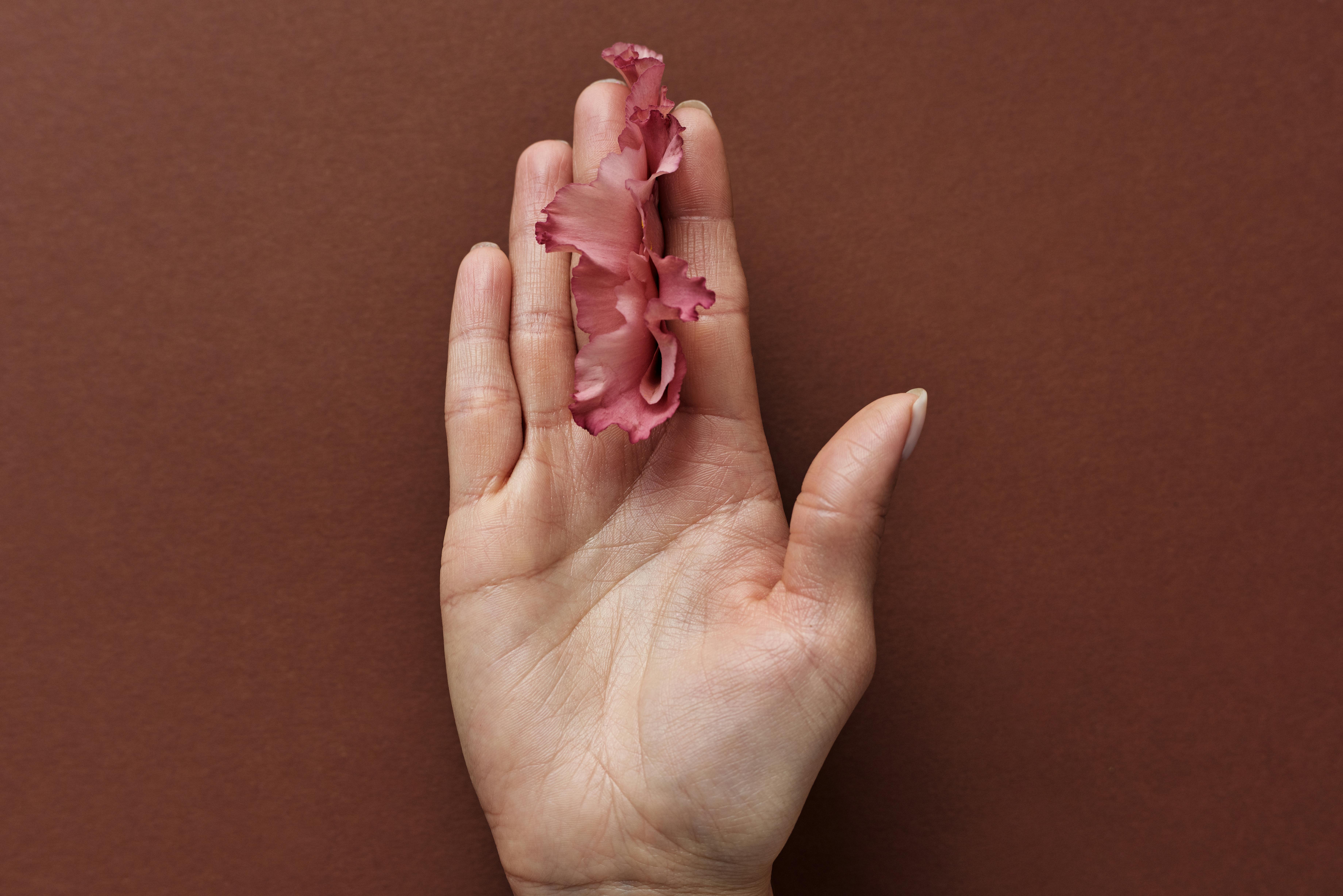A close-up of a hand gracefully holding pink flower petals against a brown background.