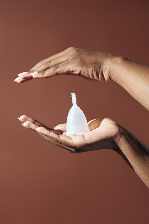 Person Holding White Plastic Cup