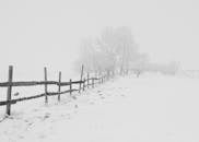 冬日宁静的雪景中，质朴的木栅栏立于白雪覆盖的风景里