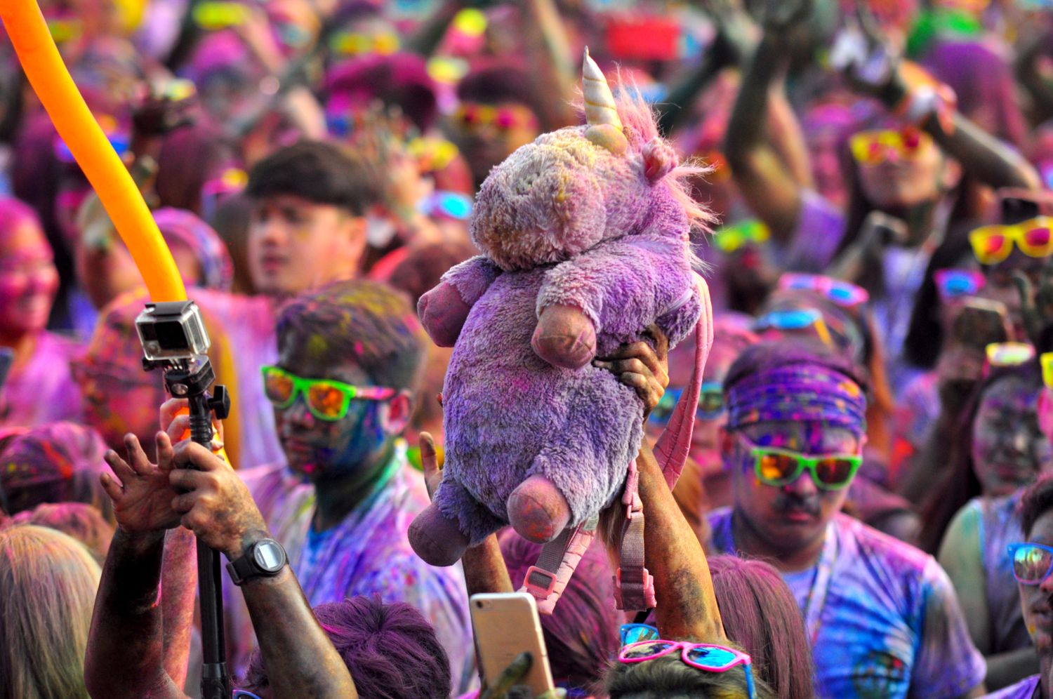 Color Manila Photos, Download The BEST Free Color Manila Stock Photos ...