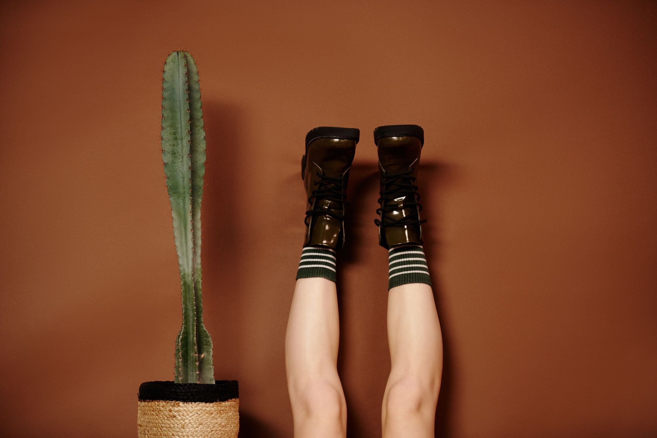 Want to Add a Little Fun to Your Casual Outfit and Make an Impression? Opt For Novelty Socks Want to Add a Little Fun to Your Casual Outfit and Make an Impression? Opt For Novelty Socks