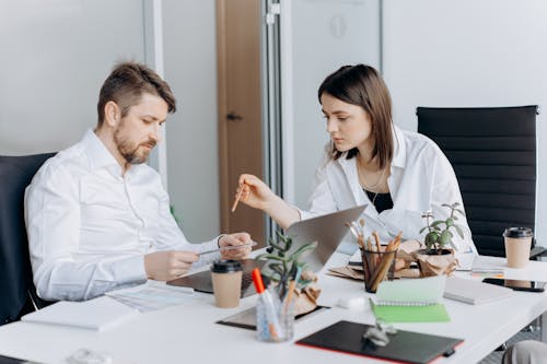 Free Coworkers Working Together at the Office  Stock Photo