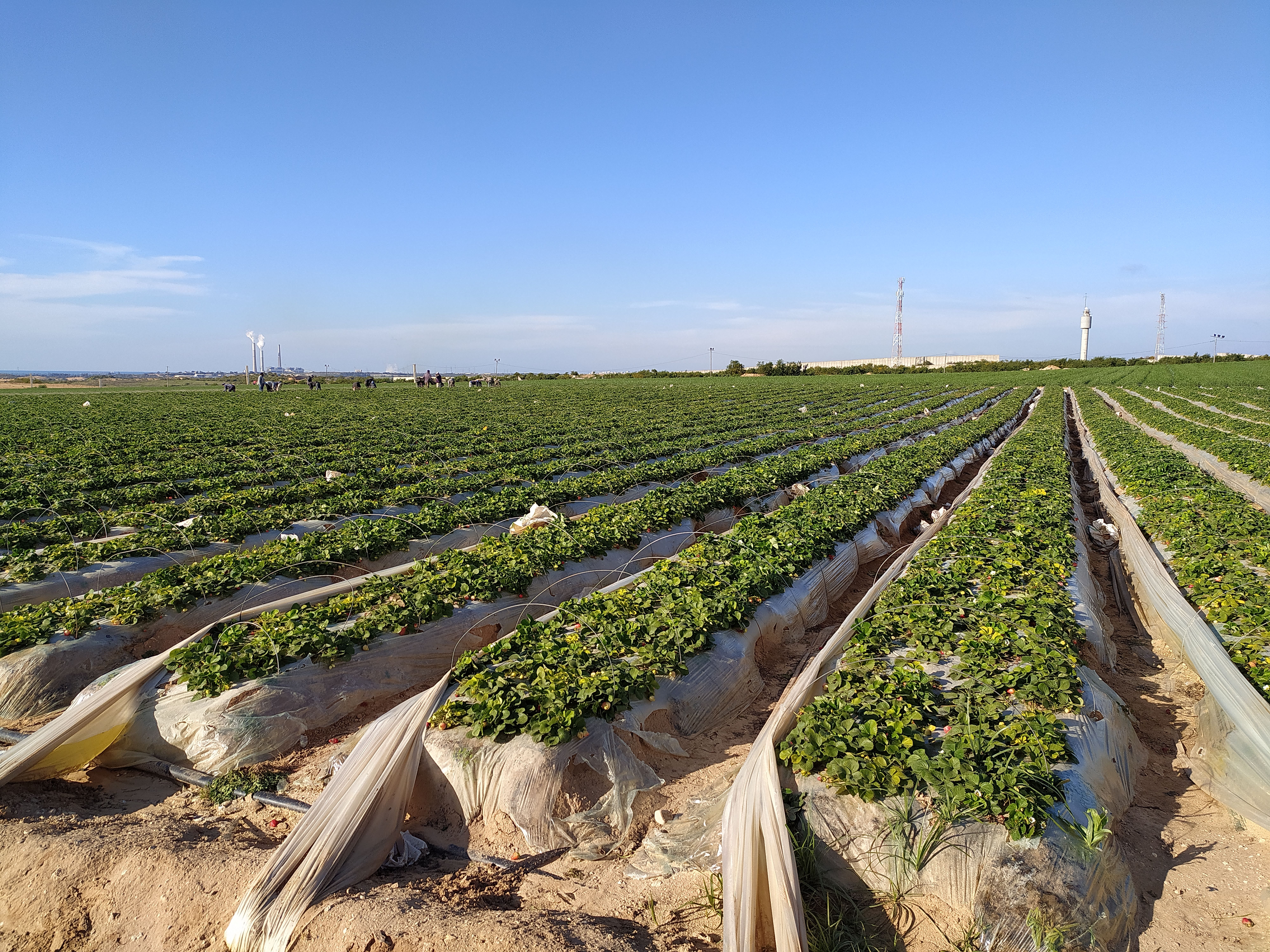 برامج التنمية الترابية المندمجة