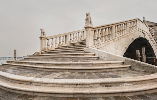 Ücretsiz aslan, beton merdivenler, beyaz gökyüzü içeren Ücretsiz stok fotoğraf Stok Fotoğraflar