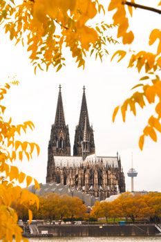 The iconic Cologne Cathedral surrounded by vibrant fall foliage in Germany.