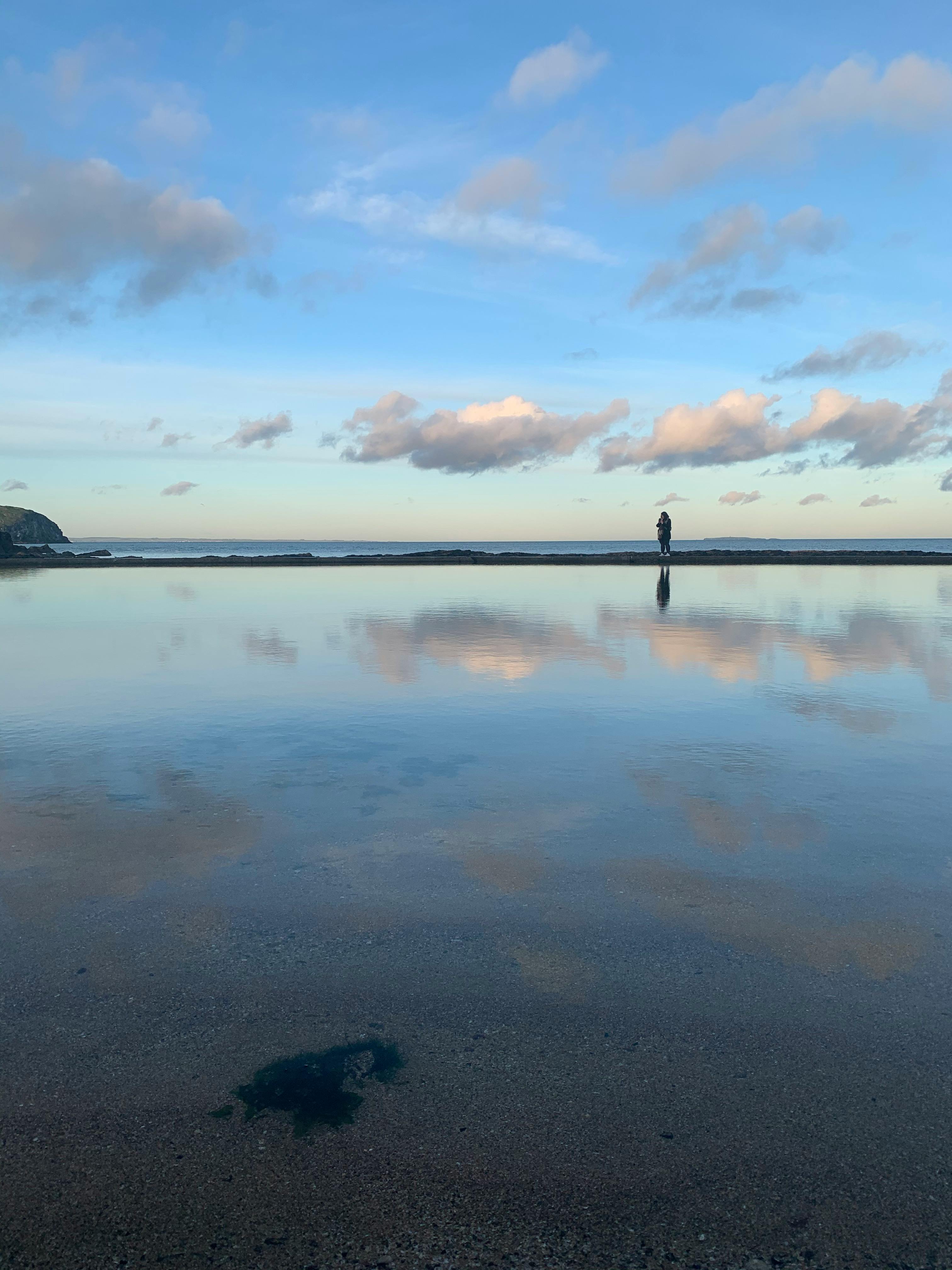 Cachorro sendo seco após banho