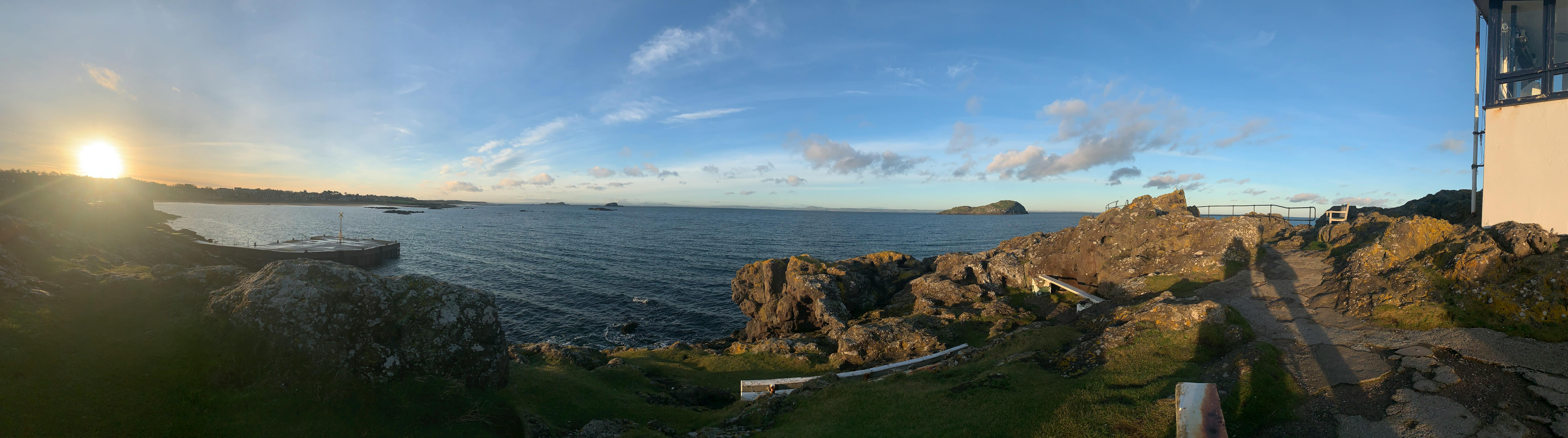 Veterinária acariciando gato