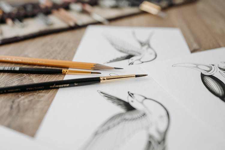 Close Up Of Pencils And Drawings Of Birds