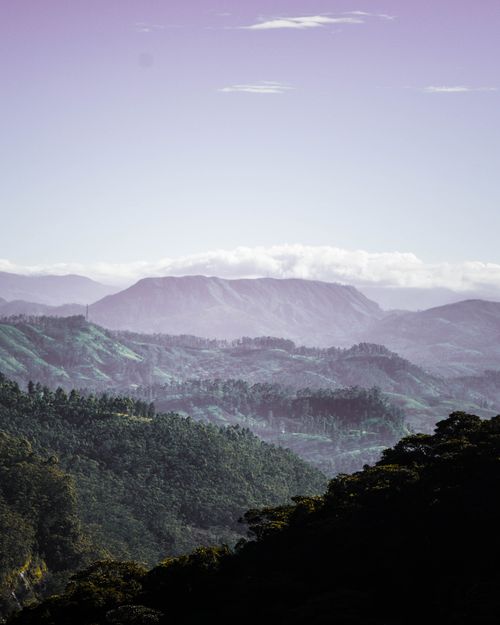 Free A scenic view of Sri Lanka's lush mountains under a clear blue sky, perfect for nature enthusiasts. Stock Photo