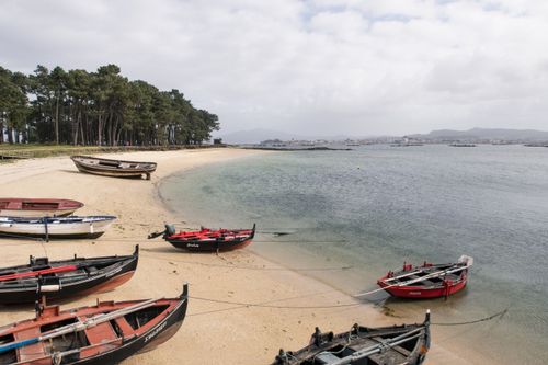 Free Rustic boats anchored on a sandy beach beside lush pine trees under a clouded sky. Stock Photo