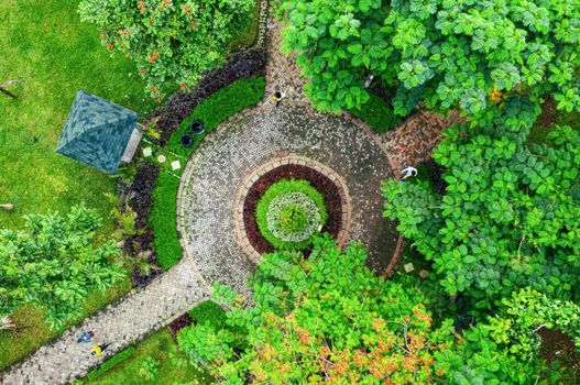 Bogor botanical gardens day — Jakarta