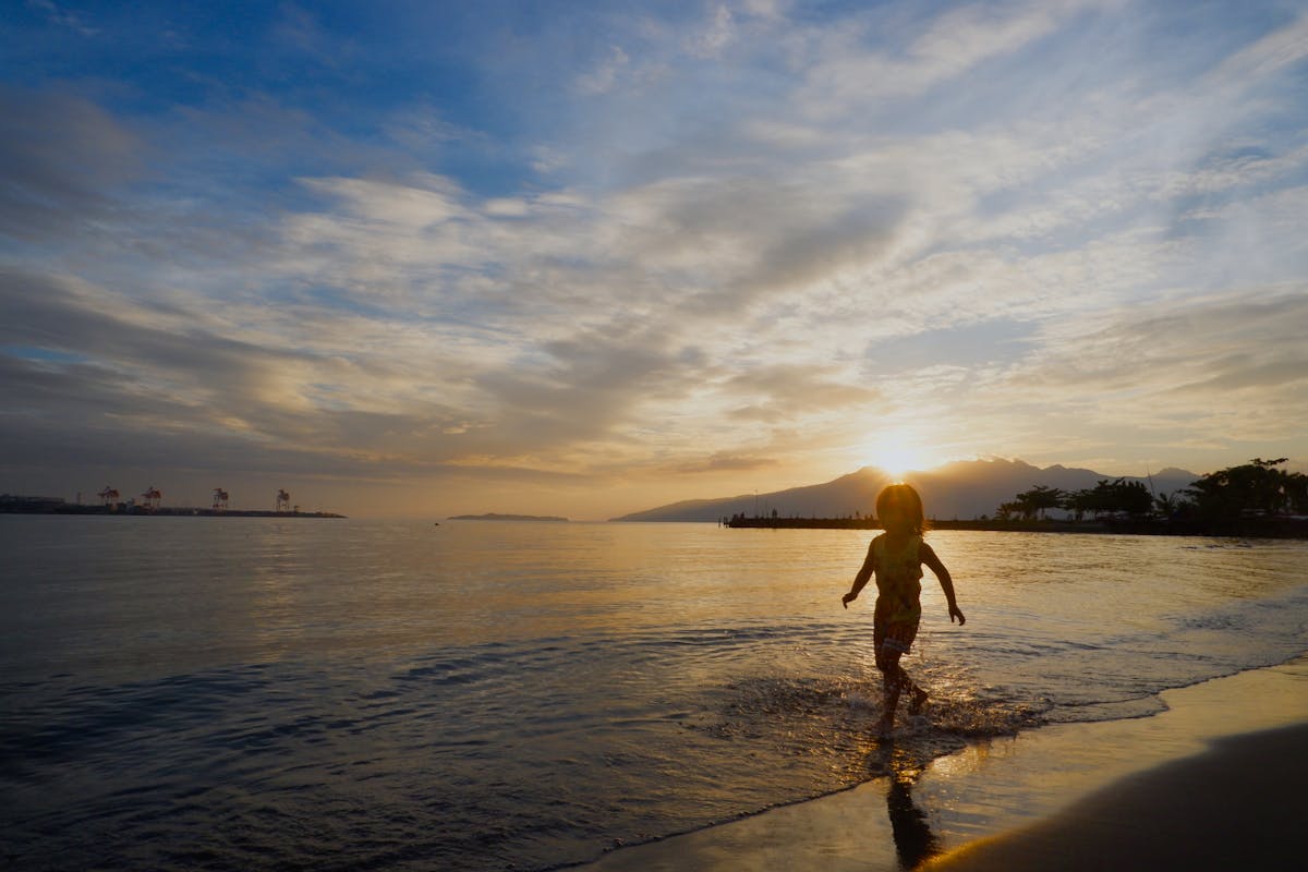 Nyos Quantum 120 Abschäumer