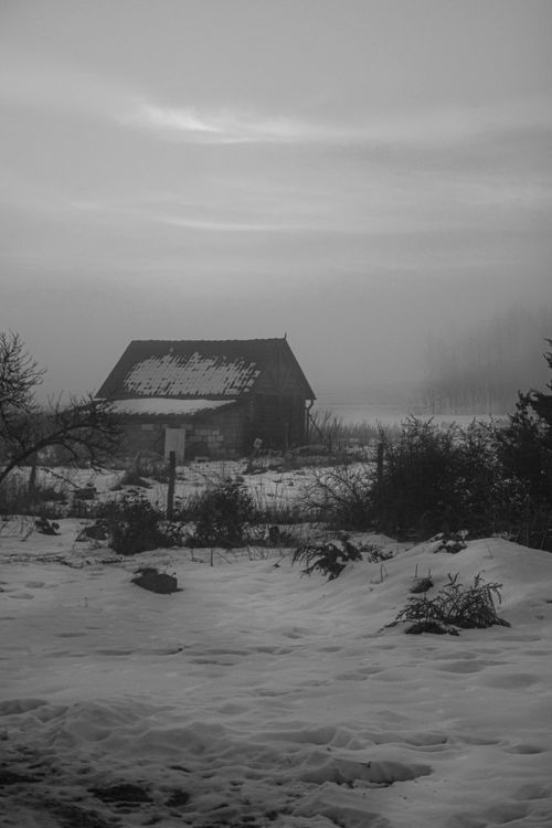Free Monochrome photo of a snow-covered rural barn in a misty winter landscape. Stock Photo