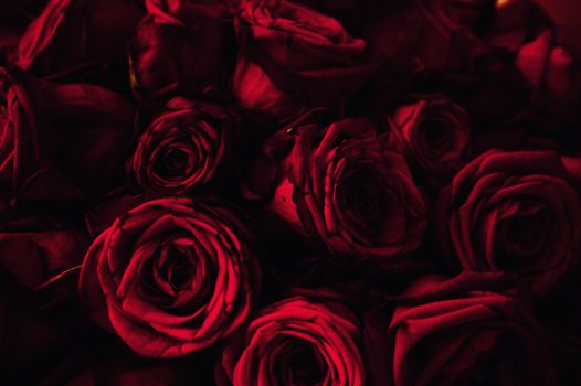 A lush bouquet of deep red roses in subdued lighting, highlighting romantic elegance.