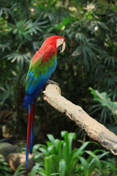 Close-up of a colorful red and green macaw perched on a branch in a lush jungle setting.