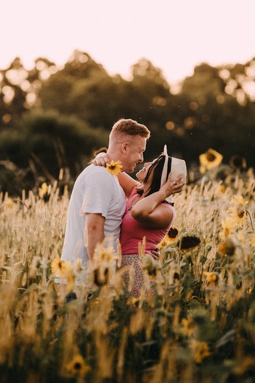 Romantic couple embracing on lush sunflower field · Free Stock Photo