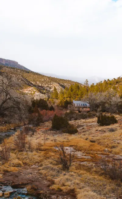 The Ultimate Guide to the Best Cabin Stays in the USA