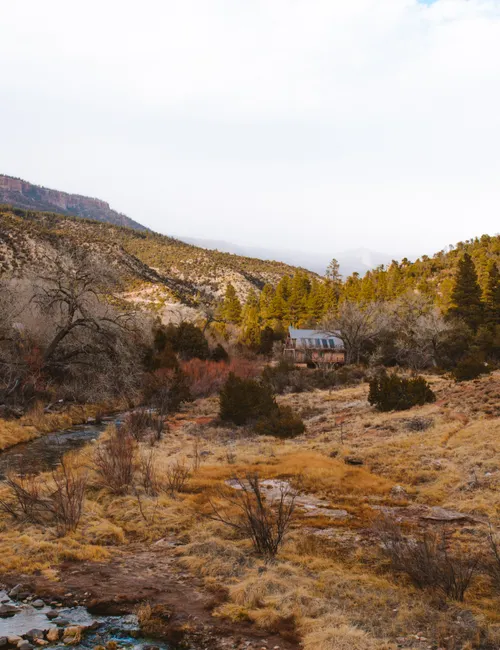 The Ultimate Guide to the Best Cabin Stays in the USA